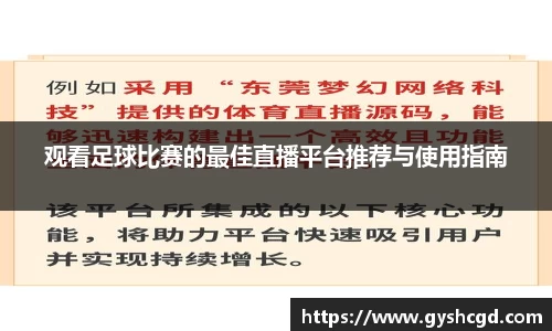 观看足球比赛的最佳直播平台推荐与使用指南